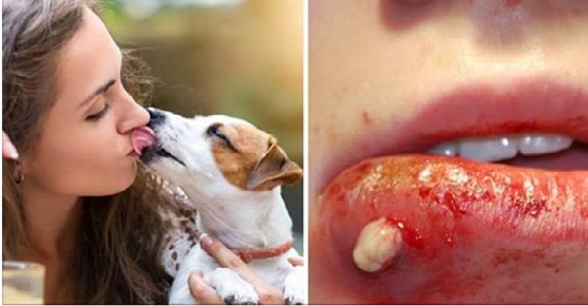 Voici pourquoi vous ne devriez jamais laisser votre chien vous lcher !